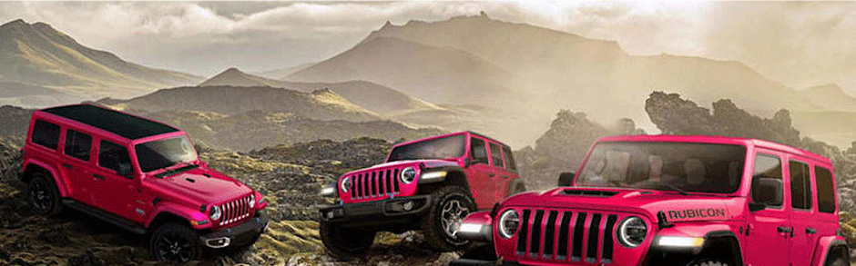 Shop Pink Jeep Accessories